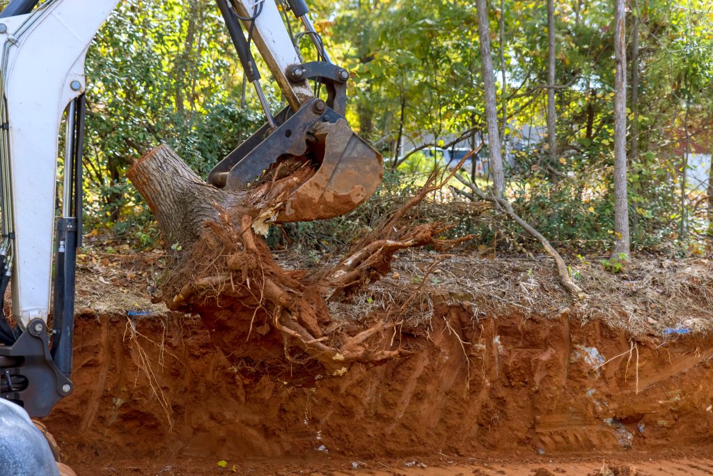 Clearing land fo ar housing complex using skid steer tractor to remove a roots